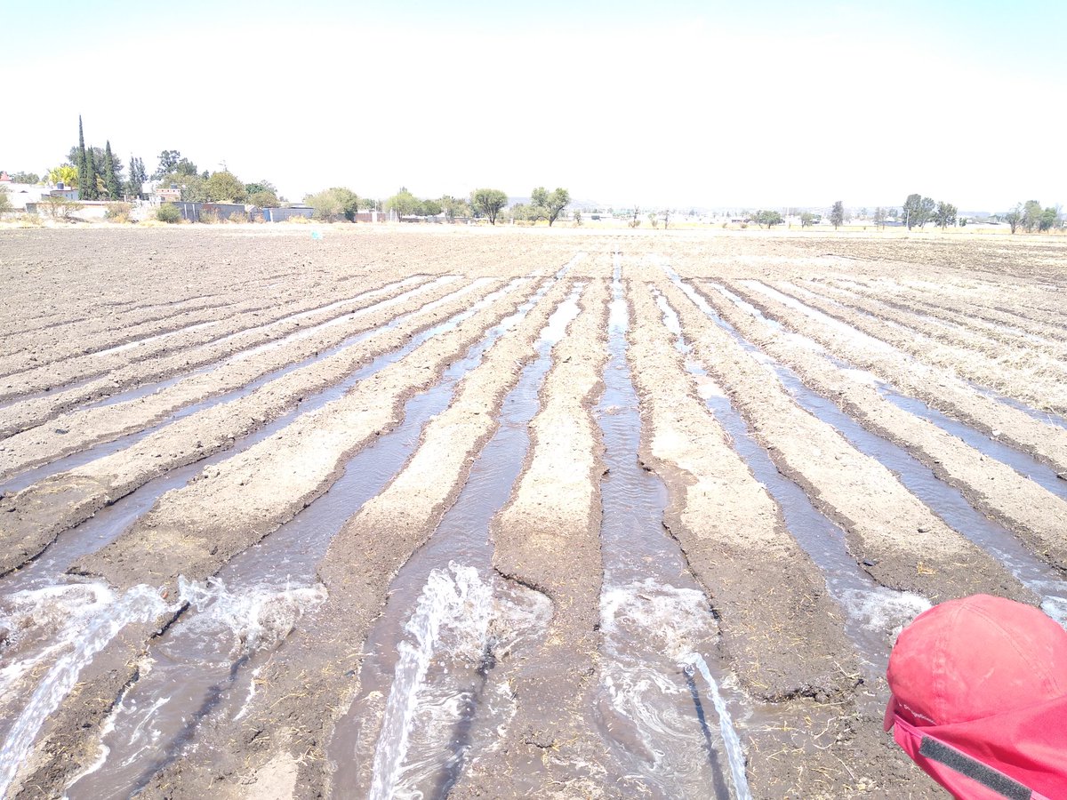 chelyds22's tweet photo. En el #DiaMundialDelAgua recordando la importancia de hacer un uso eficiente de este recurso. Agradeciendo el trabajo que se hace y el esfuerzo de todo los que trabajamos por que sea así.@MUAC_GTO @SDAyR_GTO @MasAgroGto https://t.co/L0BcxOn5yC