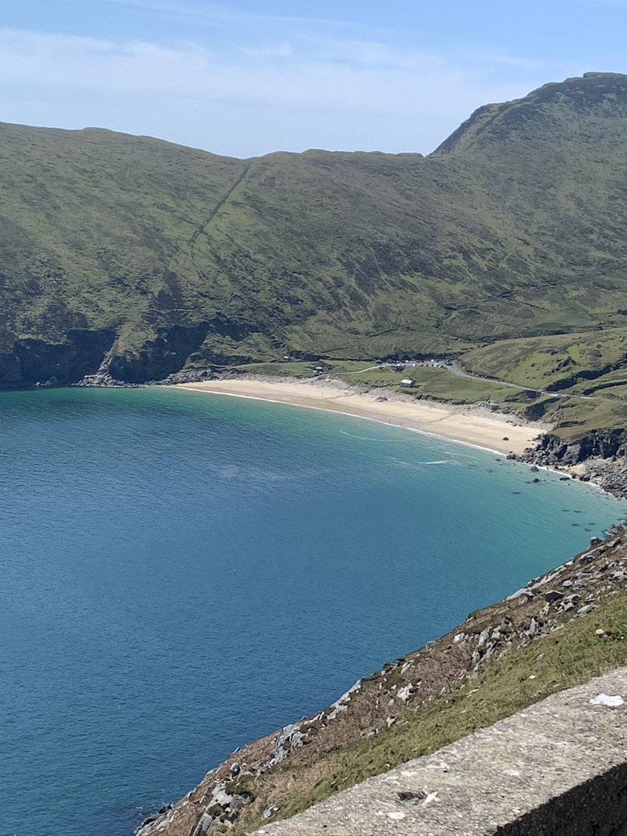 Joanne Morley tweet media