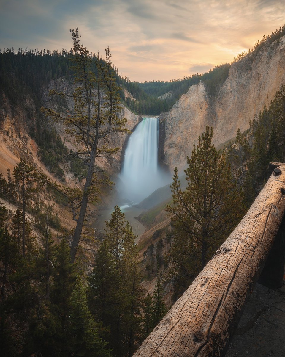 The spot             vs.           the shot