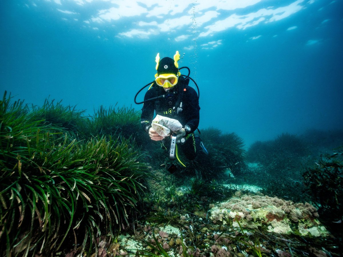 ChanqueteDavid's tweet photo. *DÍA MUNDIAL DEL AGUA*

¿Sabías que más del 80% de las aguas residuales se vierten en los rios o el mar sin ningún tratamiento, lo que provoca su contaminación?? 

#WorldWaterDay @AquaLungDivers #DiaMundialDelAgua #BeyondTheExpected @Aqualung_Spain https://t.co/N72xSrFnPq