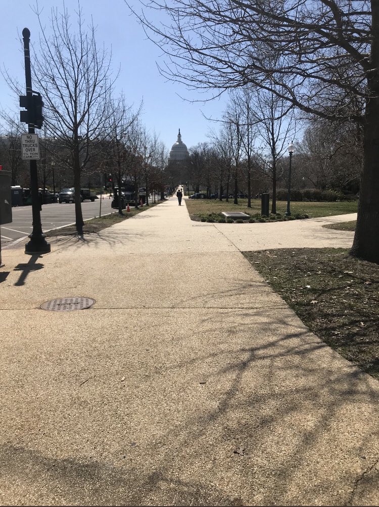 AryaAnsari_DC's tweet photo. First tweet for my new account on the day the fences around the Capitol are finally starting to come down! #OurDC https://t.co/uor2VRiXKu