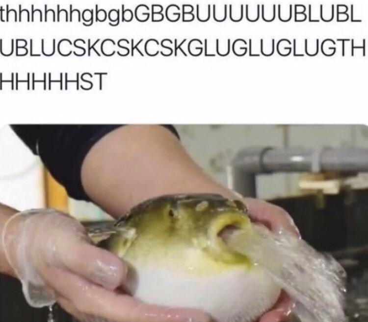 UGotPufferfishd's tweet photo. @NeonNerd2401 @__f1re__ @jdubtheone What am I doing here https://t.co/Ut1mhcwiLc