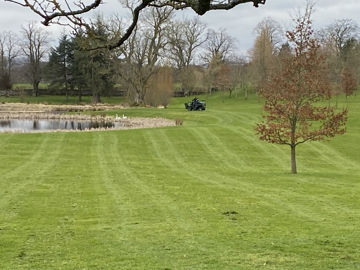 ⁦@HartreeEstates⁩ gets its first grass cut of the year. And the swans have arrived. Will they nest again this year?