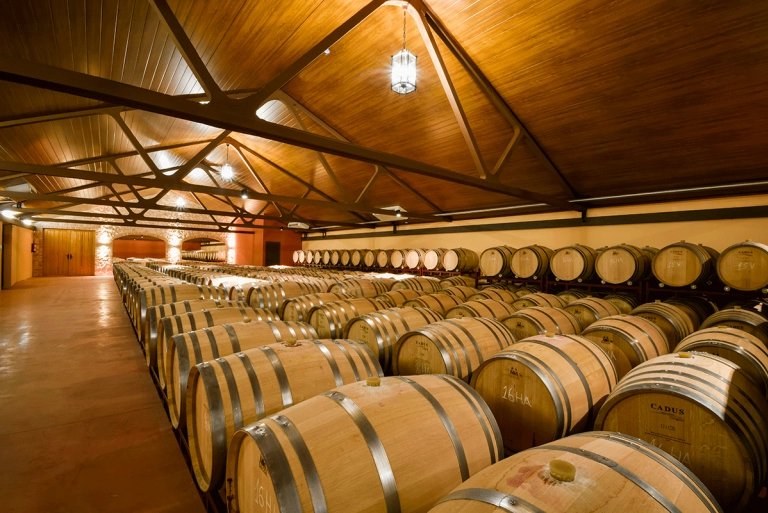 En un entorno que transmite paz y armonía, se unen el pasado y un presente que mira al futuro.

Aquí llegan las uvas de nuestras viñas con el objetivo de elaborar vinos que respeten el carácter de la tierra.

Bodegas López Cristóbal