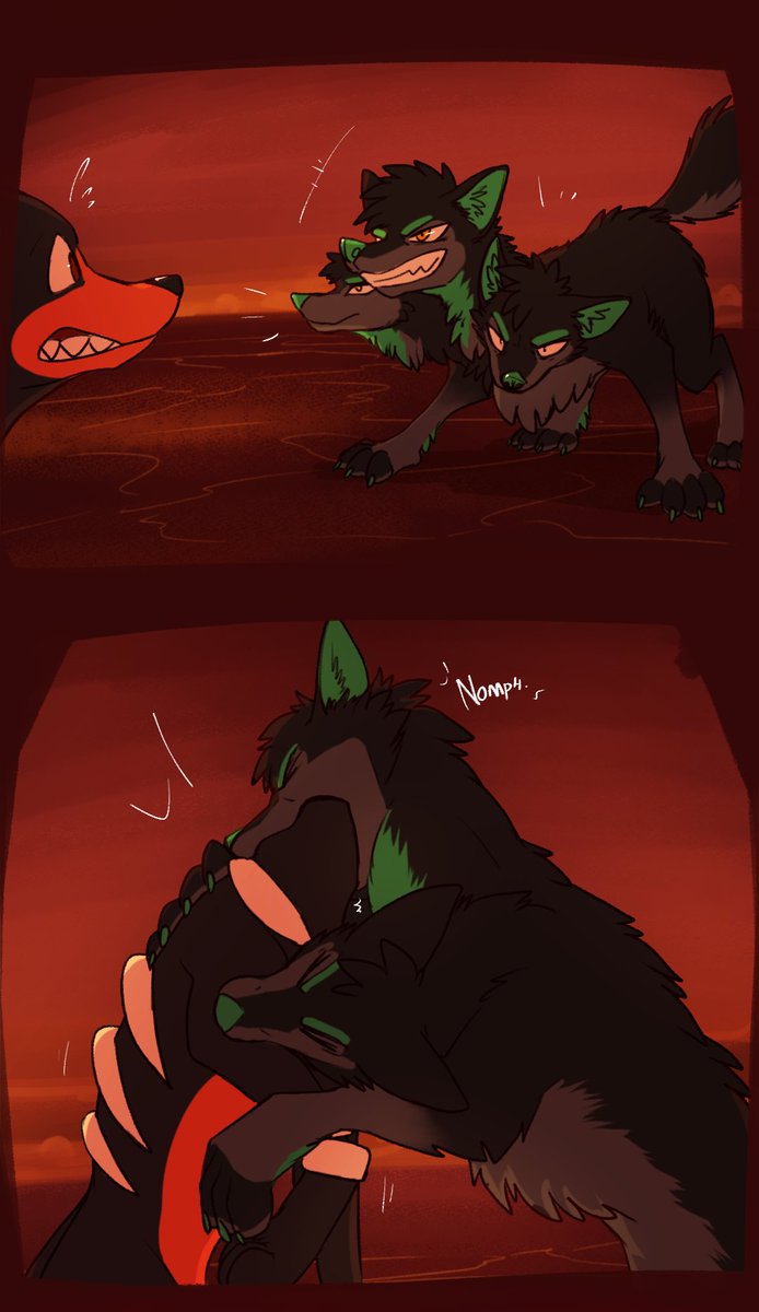 lun_fox's tweet photo. dog fight https://t.co/sMkh8xqfeT