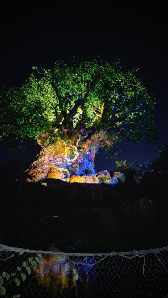 Ms_JLacey's tweet photo. Highlights from my week✨
#WaltDisneyWorld #Dispo https://t.co/l5KuM8vmIf