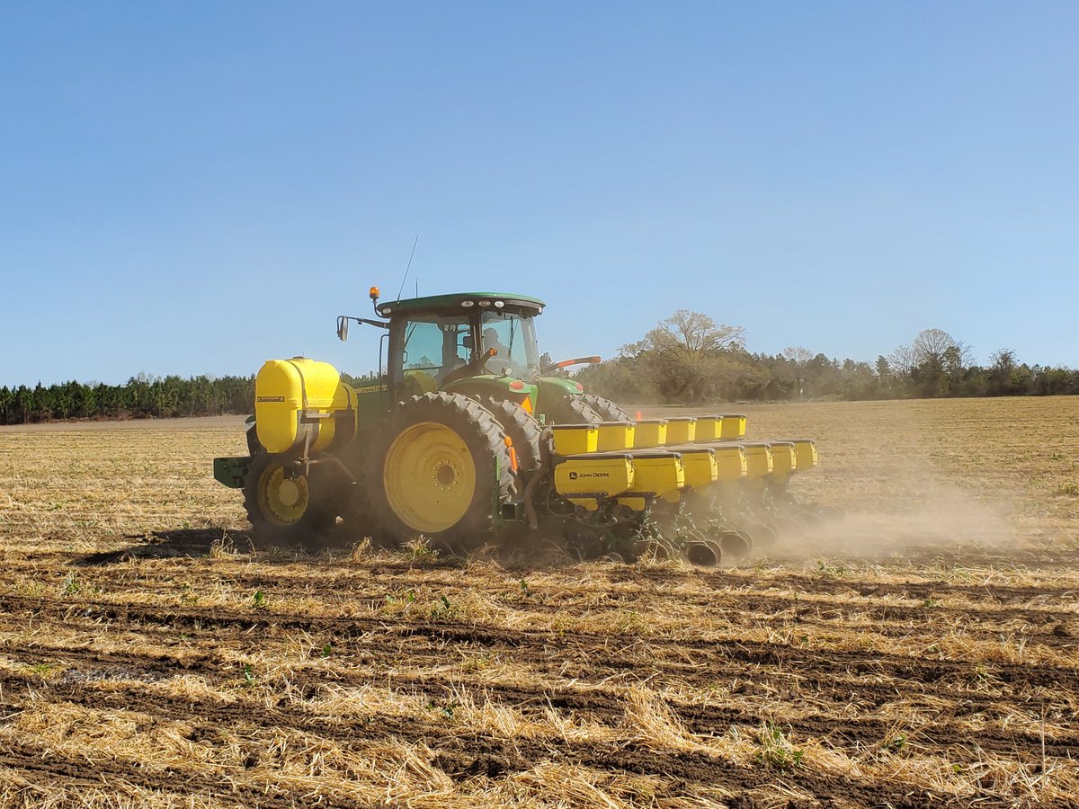 PrecAgEngineer's tweet photo. Implemented our first #SMART #OnFarmResearch trial today in SE GA with @UGAExtension agent Pam Sapp and James Hawkins @jhawkins1447. Evaluating seeding rate and #precisionplanter performance in twin-row corn on partner #SMARTFarm!! #growercenteredresearch #datadrivendecisions https://t.co/viMDXC1por