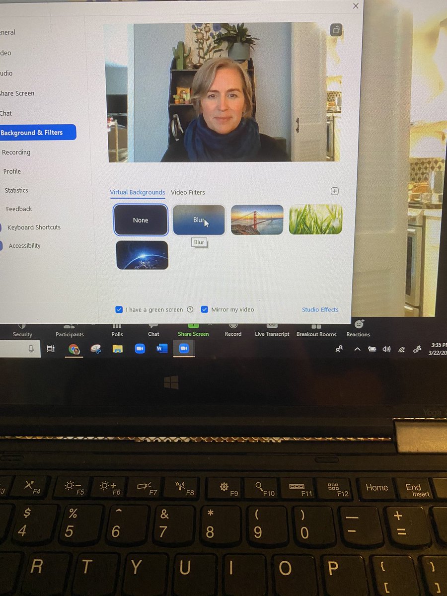 anna wydeven (she/her) tweet media