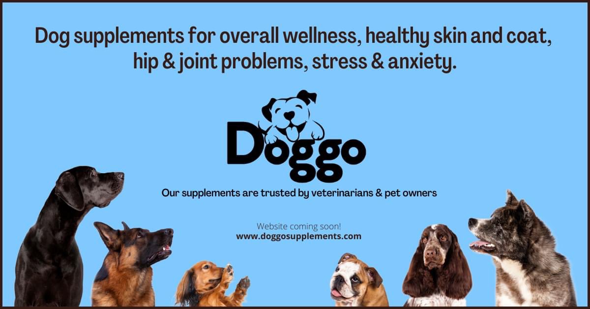 DoggoLLC's tweet image. 