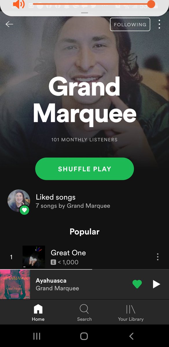 Follow the boi's spotify 😤