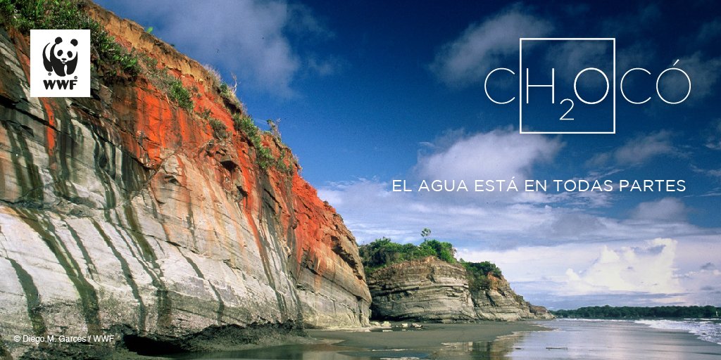 WWFColombia's tweet photo. En Colombia sacamos #PecH2O por cuenta de la gran riqueza hídrica que tenemos: 6 nevados, 44% de los páramos de Sudamérica, 30 grandes ríos, 1.277 lagunas y más de 1.000 ciénagas.  Así es nuestro #H2Ogar.  🇨🇴 💧
#aH2Ora es el momento de proteger nuestra agua. https://t.co/3TC4bd14OK