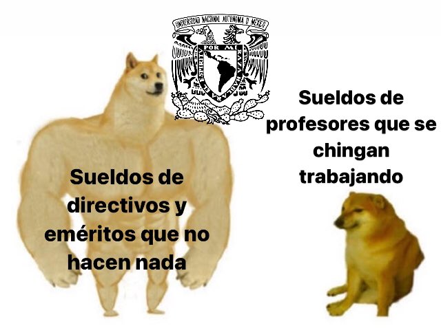 lalo_lima's tweet photo. Sobre #UNAMnopaga: hay que abolir a los eméritos. Según la página de transparencia de la unam, muchos perciben cantidades como de presidente de la República y ni siquiera es su único ingreso mientras profes no reciben su salario y las condiciones de la uni son pésimas. https://t.co/8VrTUApRPB