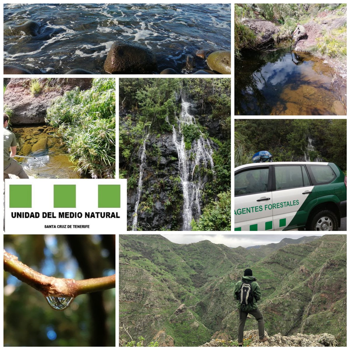 En el océano nace una 💧 de agua que convertida en ☁️ se condensa en las hojas de nuestra #laurisilva o ara retornar al océano y reanudar el ciclo

♻️Feliz #DiaMundialDelAgua Preservemos este elemento esencial para la VIDA #AnagareservadelaBiosfera
<a href="/santacruz_ayto/">Ayuntamiento de Santa Cruz de Tenerife</a> <a href="/DistritoAnaga/">Distrito Anaga</a>