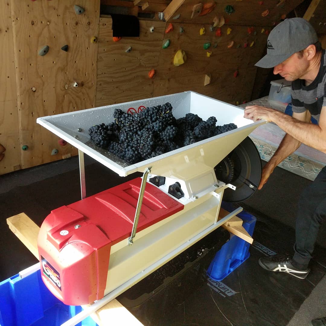AlmarPostma's tweet photo. Time to make wine.
#durif
#garagiste
#homewinemaking https://t.co/80WVS9GcmV