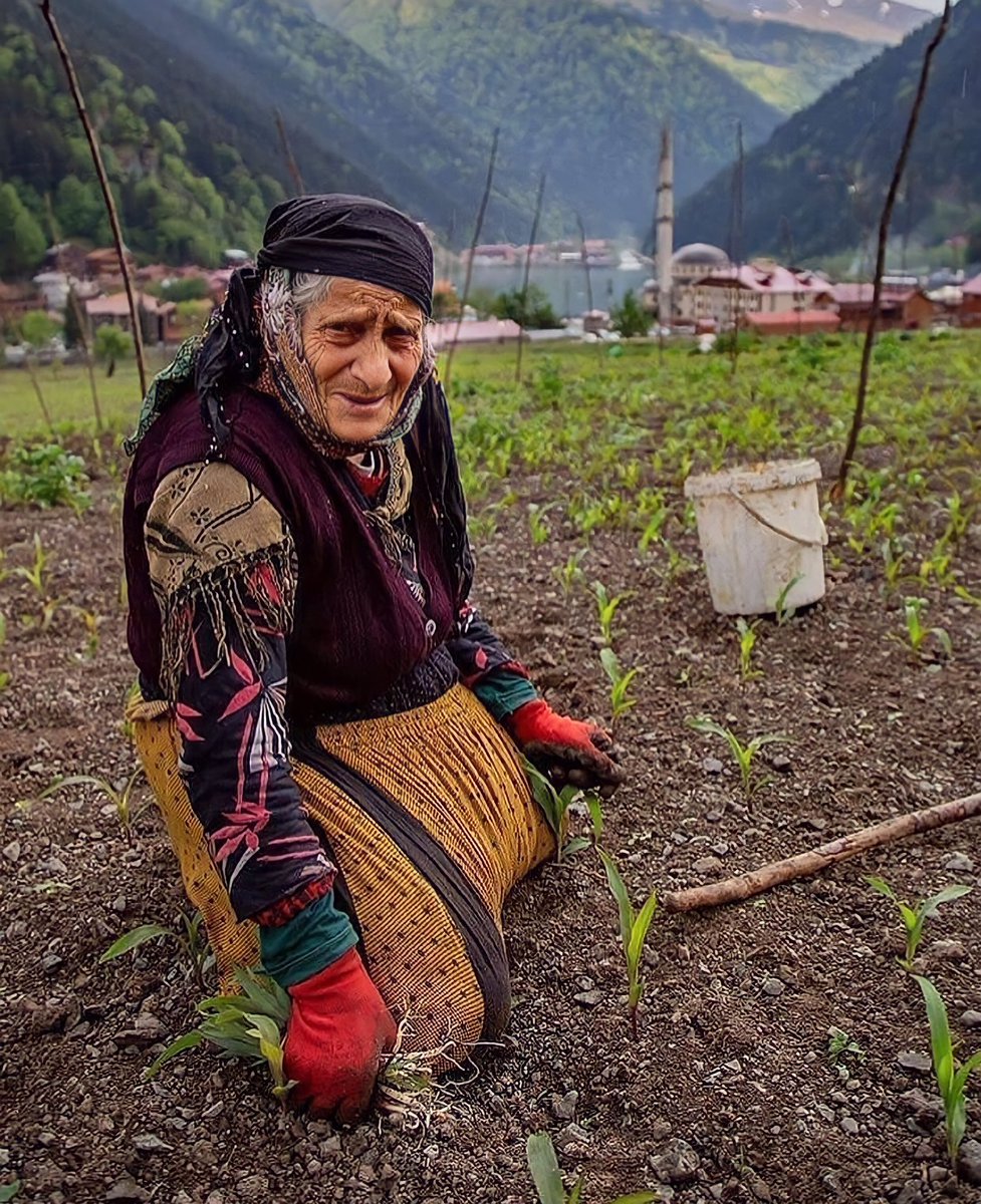 EAmaduni's tweet photo. “They tried to bury us. They didn’t know we were seeds.” #hamshen #rize #trabzon #Artvin #laz #georgian #greek #megrel #Armenian https://t.co/TUTHk0S3bw