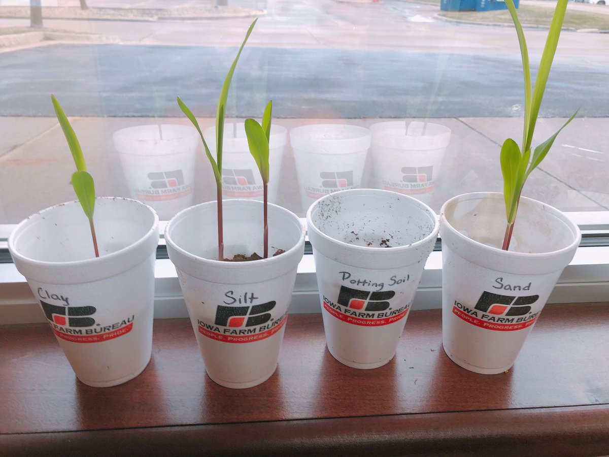 Ball_Mo_Lee's tweet photo. You know your an ag educator when you always have experiments growing in the office 😂 -mini greenhouse, soil tests, and pollinator seed bombs @LinnCoAg https://t.co/ukHjOdGja8