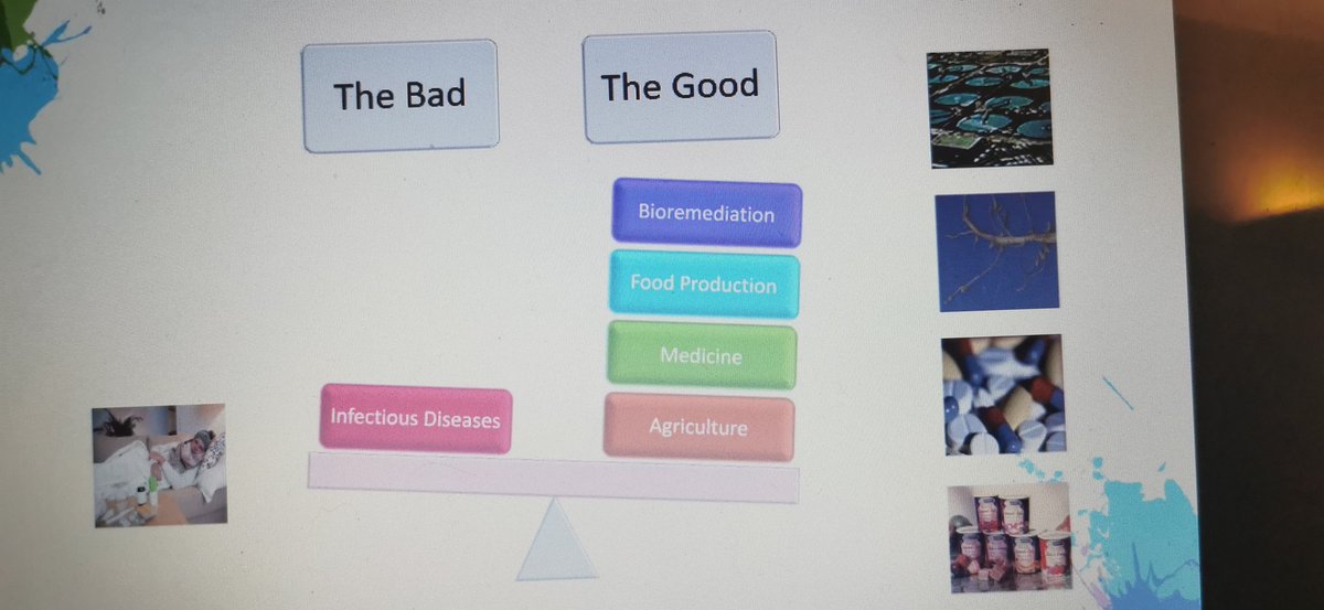 MarieRuane6's tweet image. Loads of great discussions at this evening&apos;s webinar based on antimicrobial resistance💊.

Plenty of interesting talking points that I will bring to my lessons when teaching microbiology.
@JCTSteAm @JctScience #jcscience #edchatie