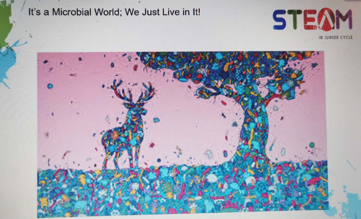 MarieRuane6's tweet image. Loads of great discussions at this evening&apos;s webinar based on antimicrobial resistance💊.

Plenty of interesting talking points that I will bring to my lessons when teaching microbiology.
@JCTSteAm @JctScience #jcscience #edchatie
