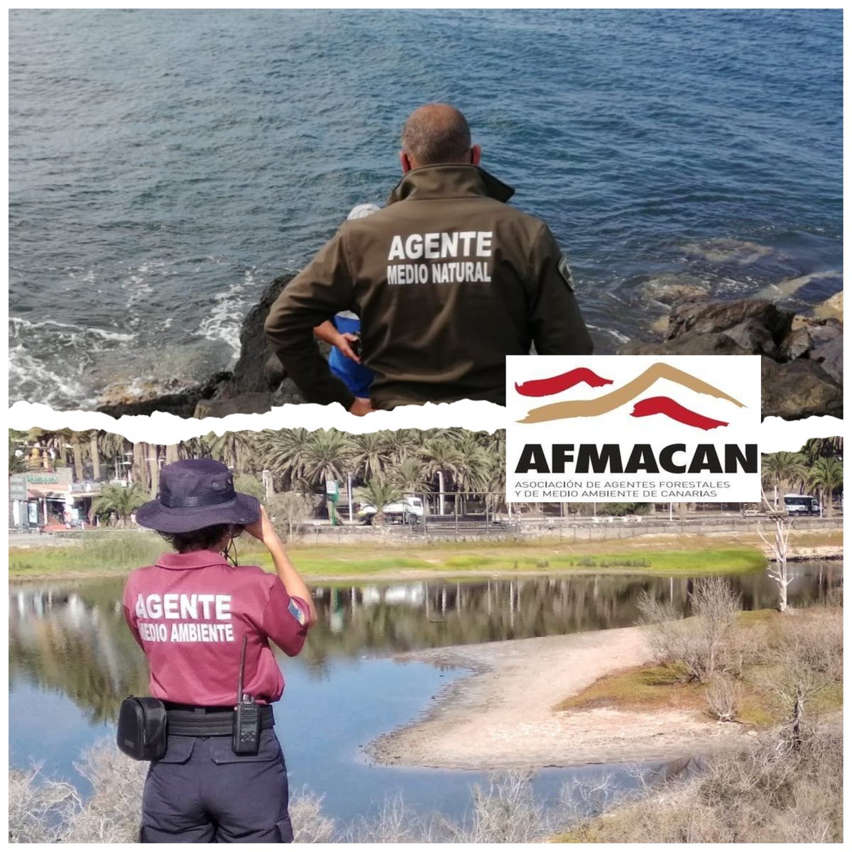 Son numerosas las tareas que realizan cada jornada nuestrxs #AgentesForestalesyMedioAmbientales #Canarias 🇮🇨 y que contribuyen decisivamente a la conservación del #CicloHidrológico 🌍🌳🌧️ y de los procesos biológicos vinculados 💧🌱🐌🐡🐚
#DiaMundialDelAgua
#GraciasCompañer@s