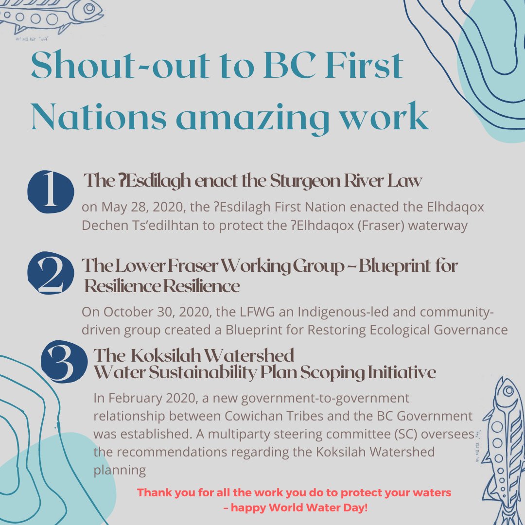 Happy #WorldWaterDay! We’re celebrating by highlighting a few amazing First Nations initiatives in BC to protect and restore water #WorldWaterDay2021 #waterforfish @tsilhqotin @LFFAlliance @POLISWater @WCELaw @Raincoast @Cowichan_Tribes @BCGovNews @ubcforestry @ELCuvic