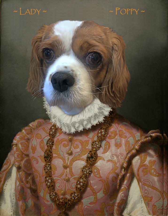 Lady Poppy
<a href="/TheGoodDogGuide/">The Good Dog Guide</a>
<a href="/RoyalCatsDogs/">Royal Cats & Dogs</a>