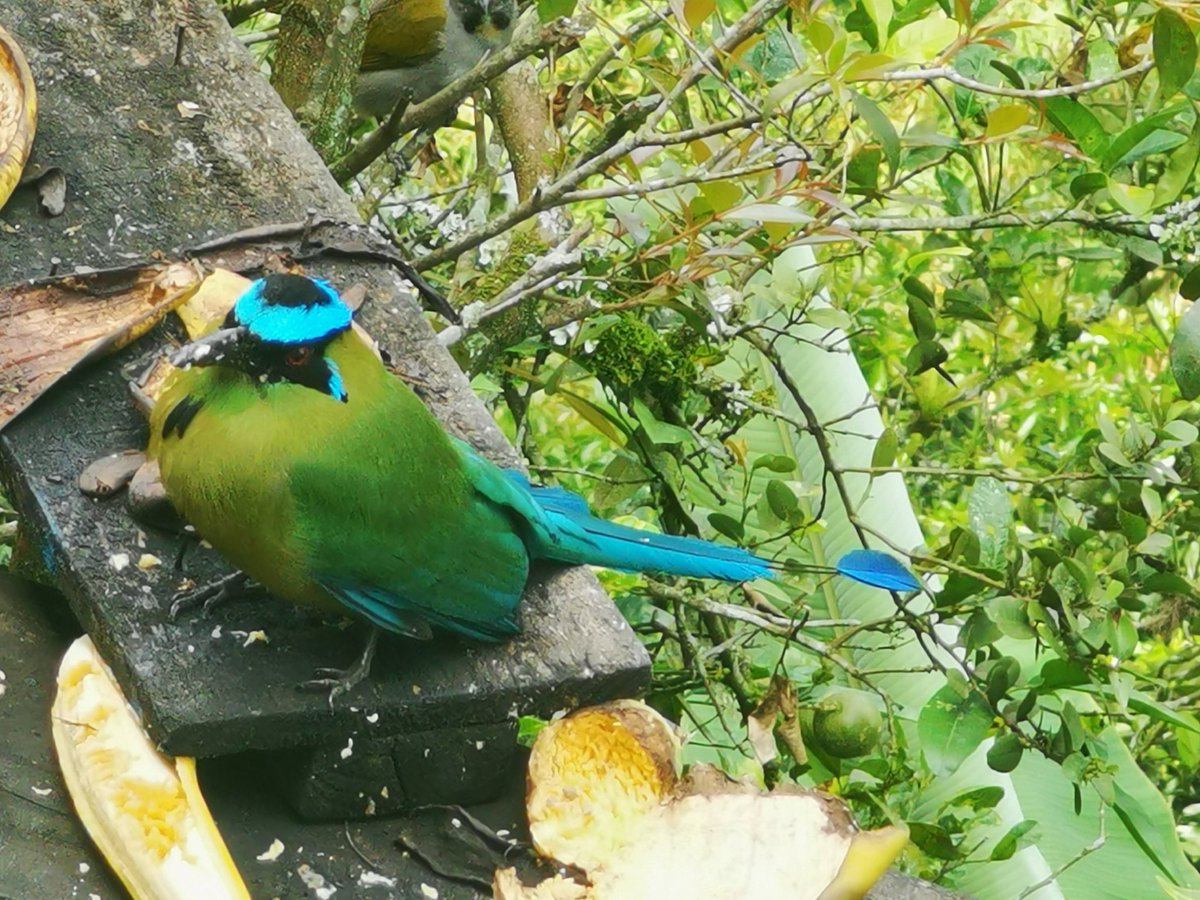 soydeituango's tweet photo. #SpamDeColas https://t.co/8nxL0ti7fS