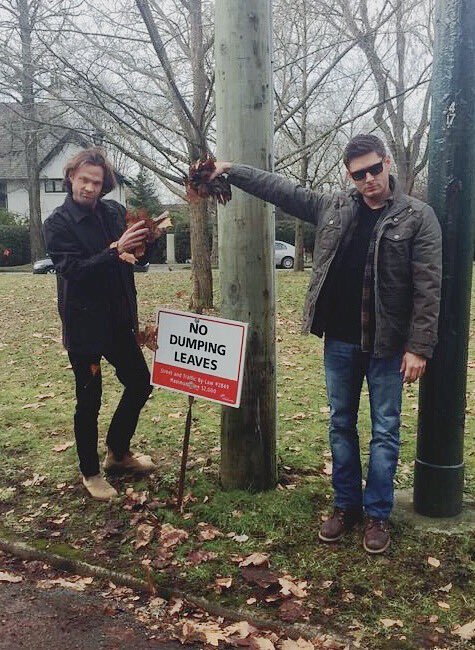 “I only date bad boys”
<a href="/JensenAckles/">Jensen Ackles</a> <a href="/jarpad/">Jared Padalecki</a>