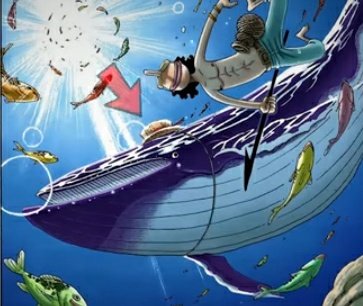 TomorrowsJoejo's tweet photo. @LeMiniMerry Jinbe cochon/sanglier
Par ses dents 
Au Japon le sanglier est appelé Yama Kujira= baleine des montagnes 
Jinbe est un requin baleine https://t.co/3cwnRLmMB5