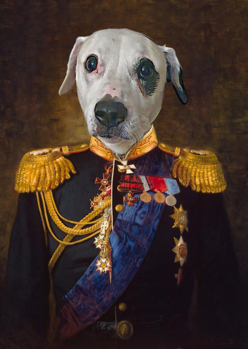 Lisa Armstrong. <a href="/TheGoodDogGuide/">The Good Dog Guide</a> <a href="/RoyalCatsDogs/">Royal Cats & Dogs</a>