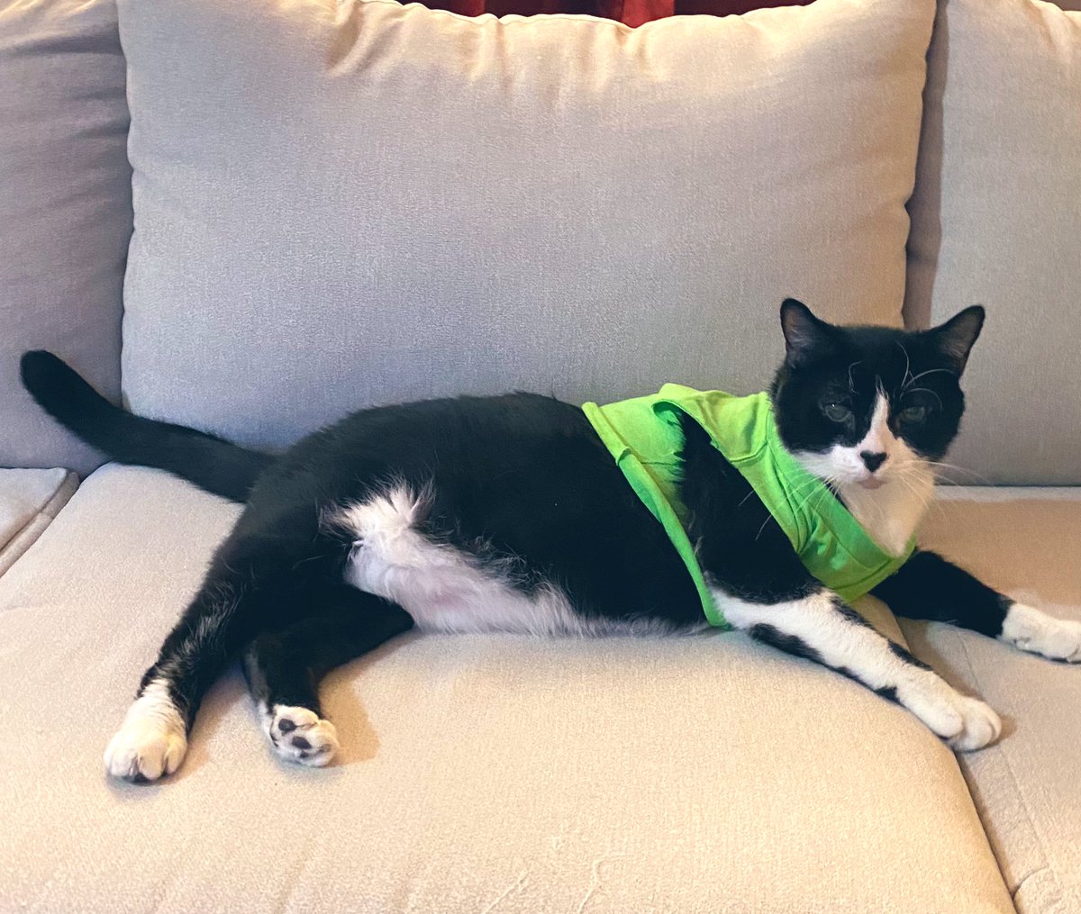 plouffykitty tweet picture