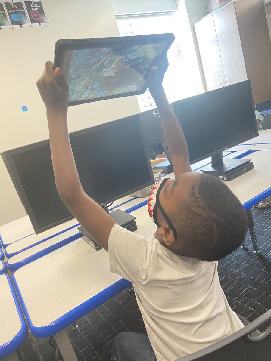 Bring on the scuba gear - today we are ocean explorers! 🤿 🌊 🧭 🦈 
After reading Shark Lady we did a VR underwater exploration using Google Expeditions. <a href="/DeniLSEArts/">Deni Bell</a>