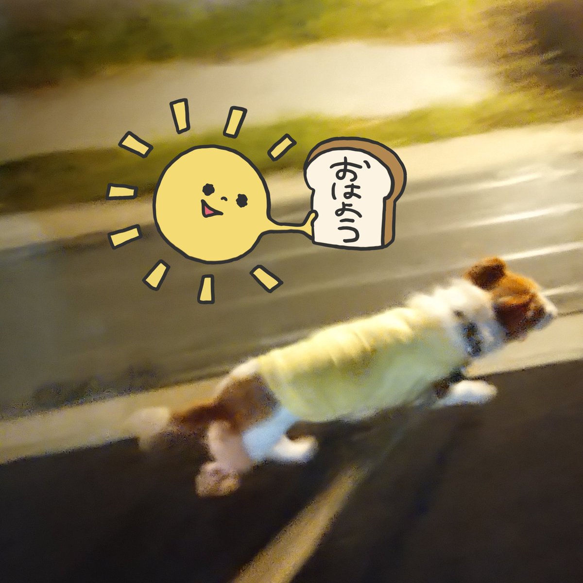 XmugLwwY8PlmunH's tweet photo. お早うございます🙂
3/23(火) AM6:15 大阪は晴れ☀️、気温2.9℃。
今朝の一枚は
『Howdy Moon』
我が愛しのヴァレリー・カーターを含む男2人女1人のボーカルグループ。
ロウエル・ジョージがプロデュース。
皆様、良い一日を😆👍➰
#イマソラ
#ValerieCarter
#HowdyMoon https://t.co/UwX8b4qLle