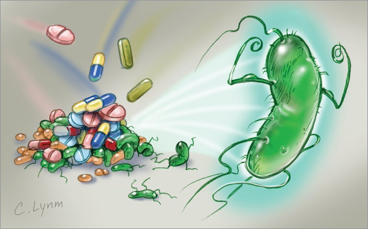 eieneibi_'s tweet photo. 🦠"LA PANDEMIA SILENCIOSA: BACTERIAS MULTIRRESISTENTES"🦠
Mi primer hilo participando en la competición de
@EventEXgranada
 Espero que os guste mucho🥰🥰 https://t.co/pqmyB4cuLF