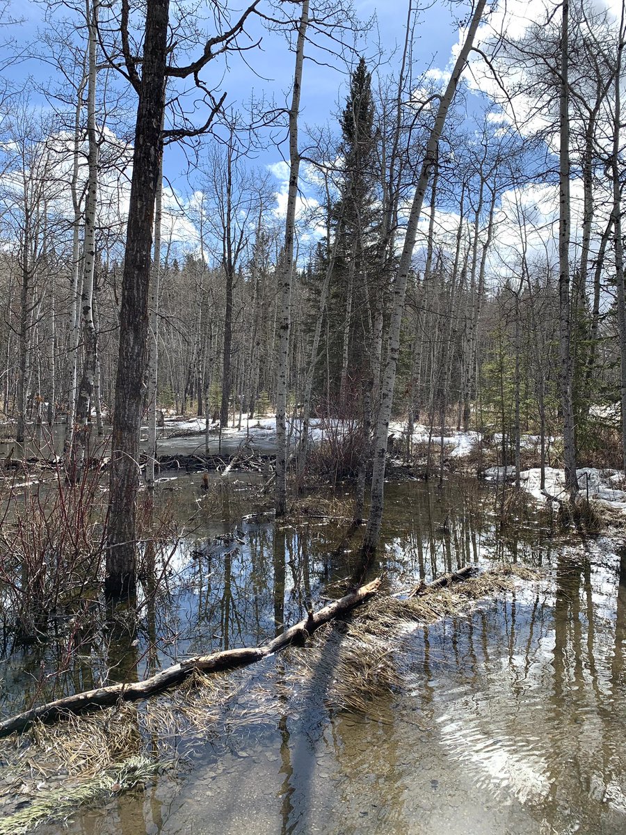 AMuenchrath's tweet photo. Celebrated #WorldWaterDay by finishing my 21 km as part of the #WorldWaterRun! 💧🏃🏻‍♀️#ValueWater @minaguli https://t.co/fi8L18uoxL