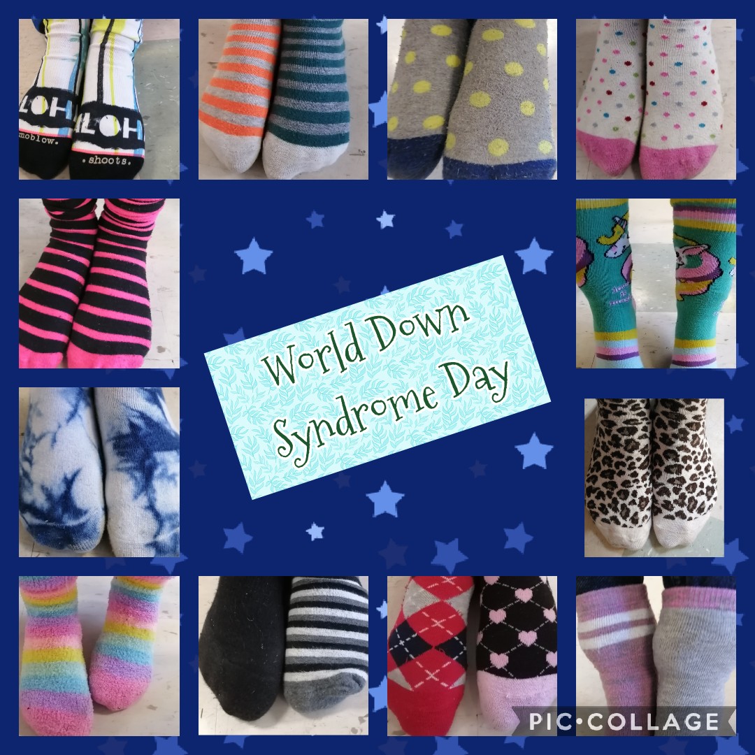 MrsDMMorris's tweet photo. Grade 2's @thestingersbuzz are sporting their silly socks🧦 👣 today in support of 2021 #WorldDownSyndromeDay. 🥰 https://t.co/9IRYnaVhsm