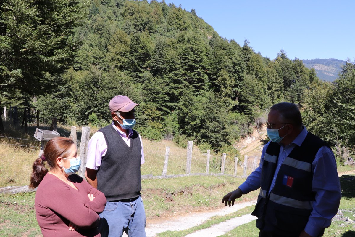 Energía La Araucanía tweet media