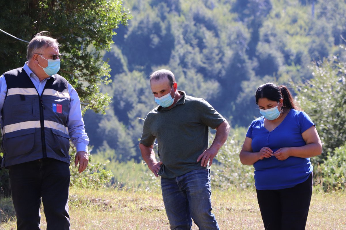 Energía La Araucanía tweet media