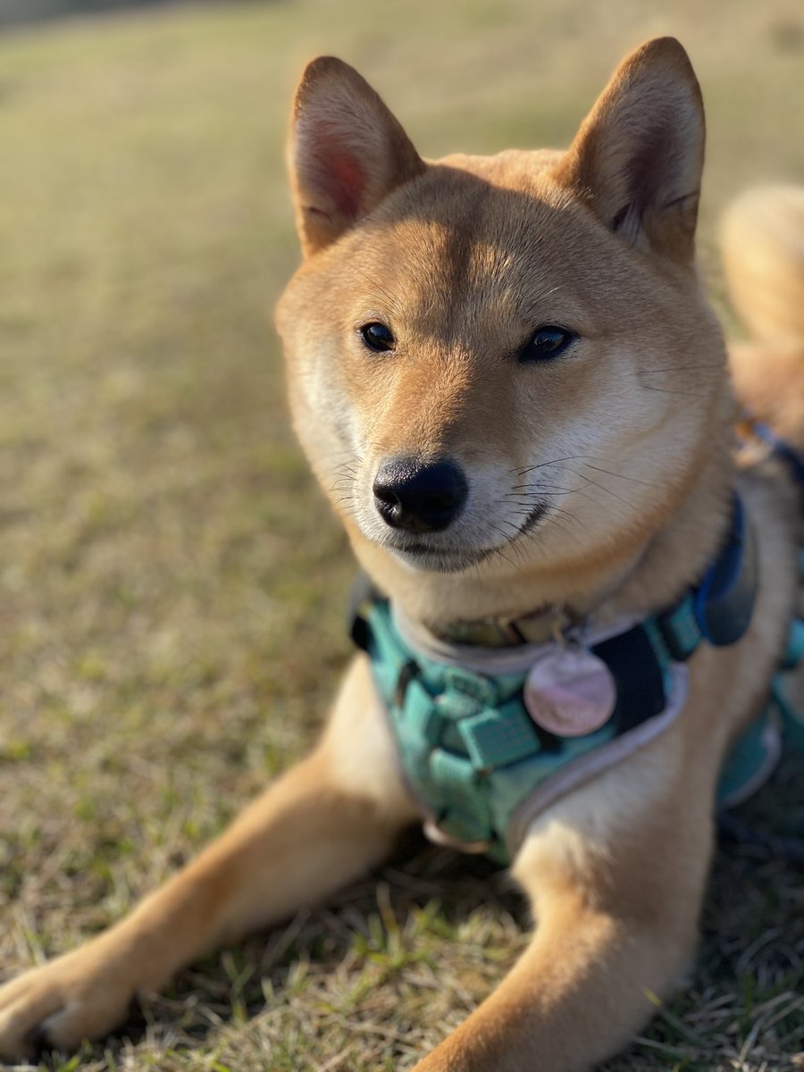 Rhonda Sturley tweet media