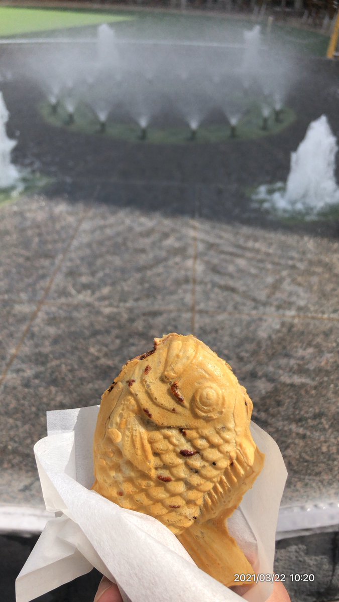 osieteTin's tweet photo. #yesterdays朝ごはん　#yesterday朝ごはん　#たいやき　#TAIYAKI #たい焼き https://t.co/hJkFnfMXAA