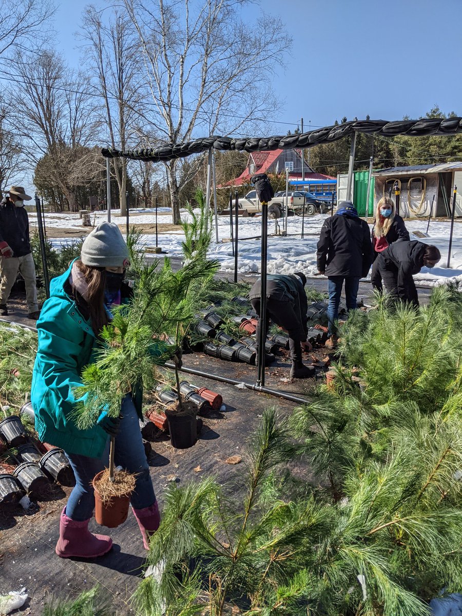 whsstimberlake's tweet photo. From 120 Litres to 3 Litres. We tried something new in CELP this year...tapping, collecting and refining our own maple syrup! We now know why it's so expensive!
#ExperientialEd #CELP #MapleSyrup #TreeToTable #selfsustaining #reciprocity https://t.co/kgwktw7Yg7