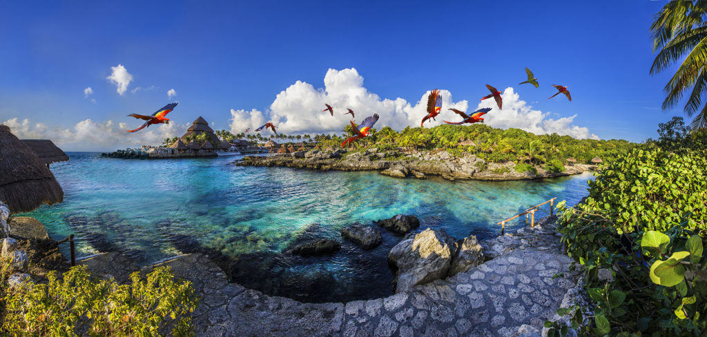 HOTBOOKmagazine's tweet photo. El cielo está más cerca de lo que parece. Conoce todos los detalles de Xcaret, un paraíso que se convertirá en la cuna de tus recuerdos más memorables. #HOTdestination #Xcaret #Mexico #Cancun #Travel https://t.co/cNXkcu4MNR https://t.co/8fY6scHL9s