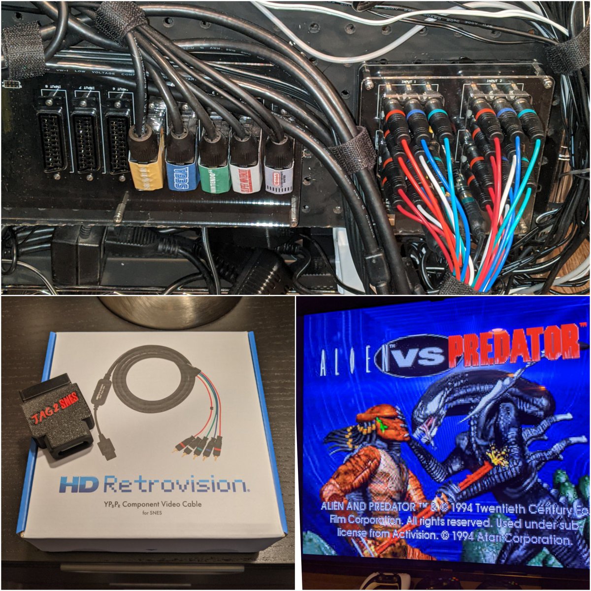 Daniel Gewargis tweet media