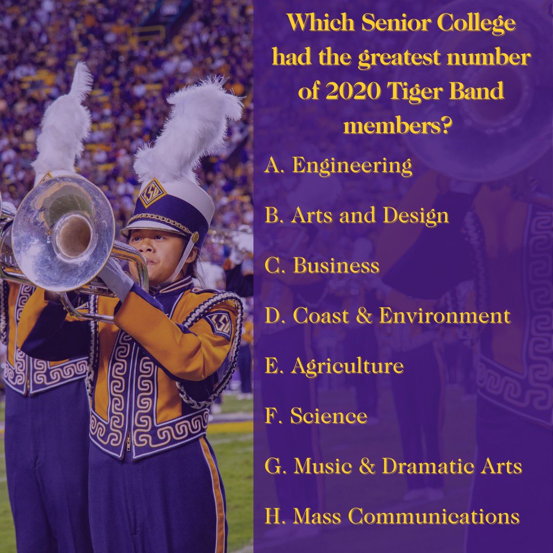 The Golden Band from Tigerland tweet media