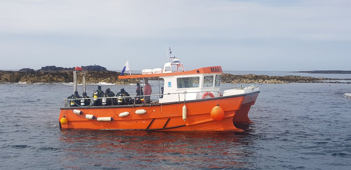 farneislands's tweet photo. From the 29th March we will be back in the water for another diving season. Lets hope we all have a good one and if you want to join us then give me a shout on 07984668093. 
#scuba #farneislands #sovereigndiving #uk https://t.co/UWL2QUZ628