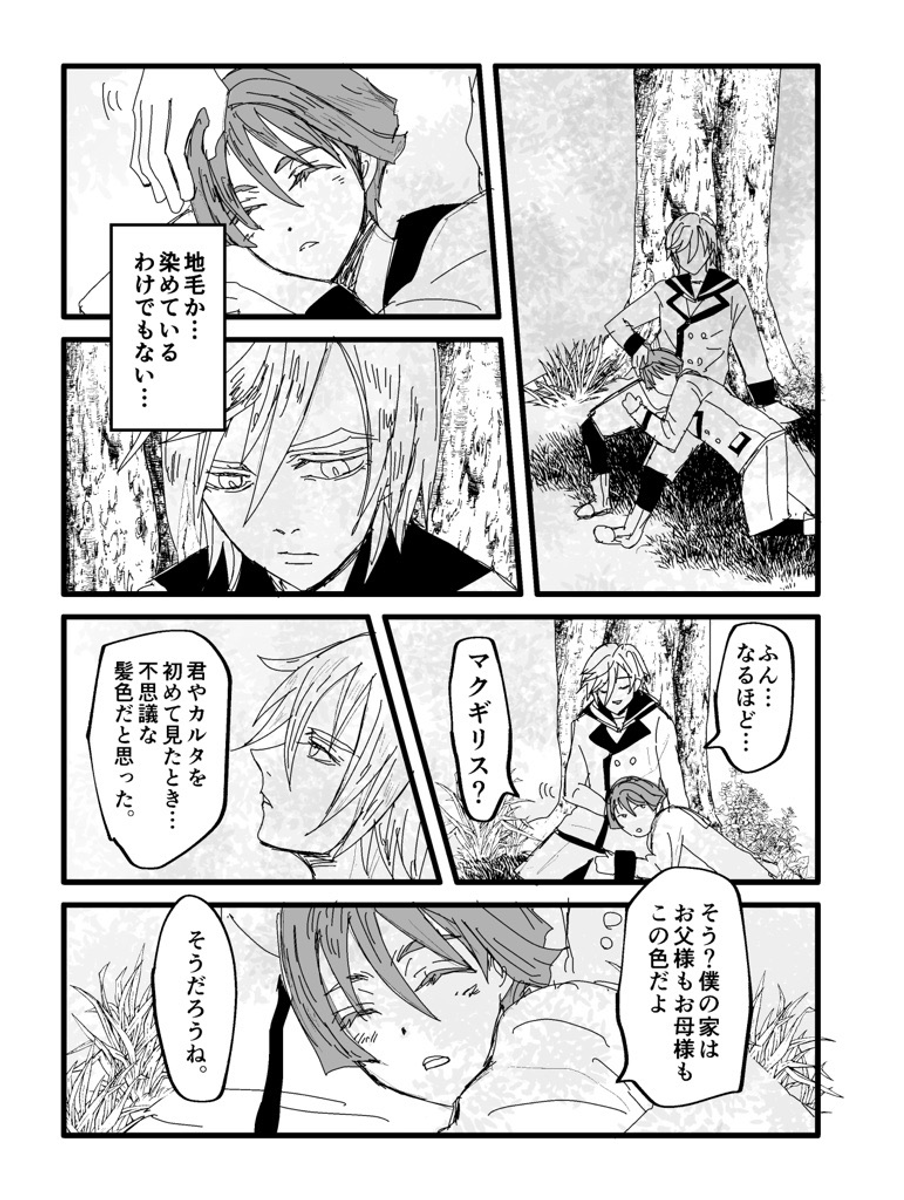 ボードウィンの髪色で考えるマクガエ漫画
 (1/3) 