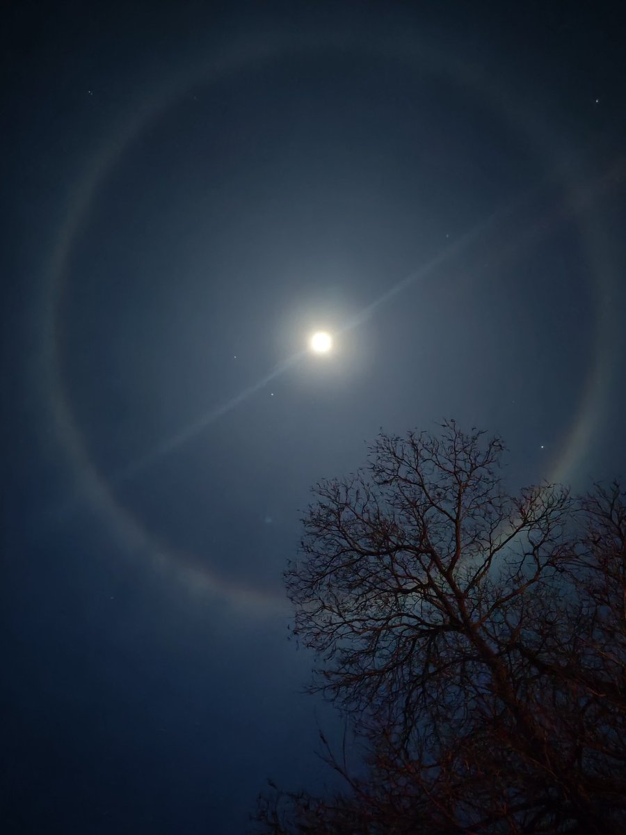 ShaneKnowsData's tweet photo. Lovely halo around the moon tonight. This is why I live in the sticks.  LOL https://t.co/fP2U6MubM7