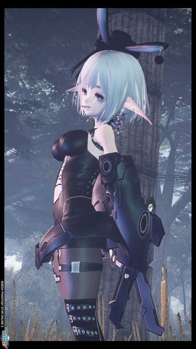 triqe_pso2ss9's tweet image. 🐰