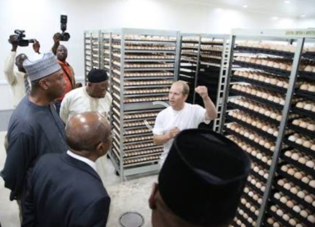Jani4Tijani's tweet photo. @MMbashrex @Abdulquawiy Ko ni da fun shameless @abdulgquawiy yen
Sitting in multi-million dollars farm wey Saraki bring go Kwara n can't admit day #DudGovernor Abdulrahman Abdulrazaq has done no single innovation in dat state?
#IRoya @RealAARahman #OtogeNaScam https://t.co/fTBUUP9wKf