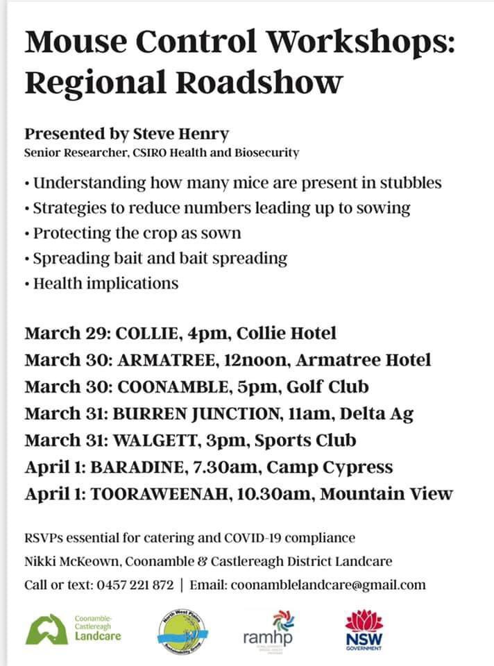 jason_herbig's tweet photo. CSIRO mouse guru Steve Henry will be doing mouse control workshops in Collie, Armatree, Coonamble, Burren, Walgett, Baradine and Toora. Rsvp's essential.

Please retweet and tag people who may be interested @chris_reedsdale @RichieQuigley https://t.co/EGR804DqTK