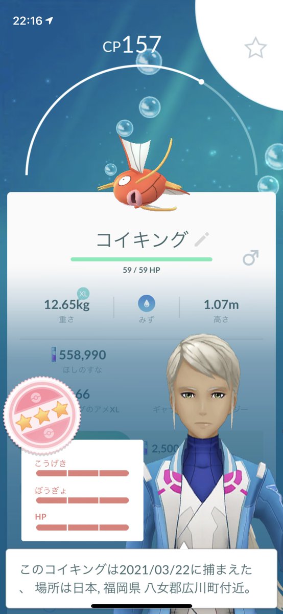 コイキング100